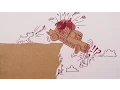 Professor Povey s Perplexing Problems -