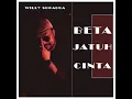 Download Lagu BETA JATUH CINTA - WILLY SOPACUA - cipt: Zico Leasa