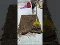 How to Deep Clean a Dirty Carpet with Several Buckets of Water