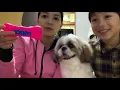 OUR MAX IS SICK GET WELL SOON MISS YOU  MAX| Team Sakai