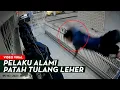 Download Lagu MALING PATAH TULANG! Terjatuh Saat Nekat Beraksi di Siang Hari