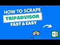 Cracking the Code of Hotel Reviews scraping TripAdvisor data without coding