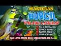 Download Lagu 2 jam masteran BURCIL LENGKAP untuk murai batu dan burung lomba lainya full tembakan suara jernih