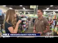 Fireworks Pets Top 4th of July Safety Tips Premier Pet Supply