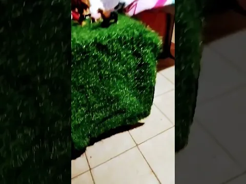5 de diciembre de 2023