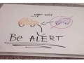 FLVS Driver Education Student