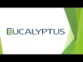 Eucalyptus