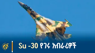 20 ቶን የሚመዝኑ ተዋጊ ጀቶች