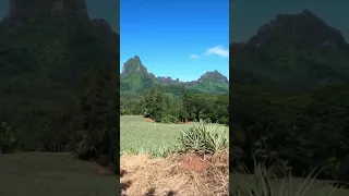 Look at those mountains! 🤩 #sailingfamily #hiking #mountains #island
