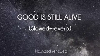 slowed reverb good is still alive la yazal al khair beautiful arabic nasheed 