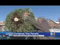 Permits For Cutting Christmas Trees Online Now At USFS