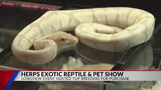 Herps Exotic Reptile Show continues to grow in Longview