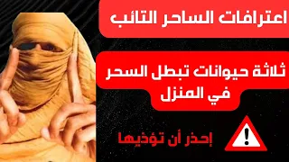 ثلاثة حيوانات تبطل السحر في المنزل إحذر أن تؤذيها Viralvideo 