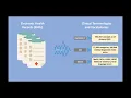 What is Semantic Interoperability