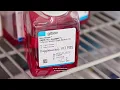 Gibco BenchStable Media for Room Temperature Storage