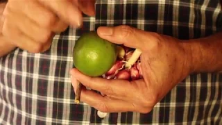 MÉTODO SIMPLES PARA PARAR DE FUMAR - SEU GONÇALO