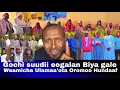 Lagu Waamicha Ulamaa’ota Oromootif dhimma Joollota Saudi irratti taasifame. | United Oromia