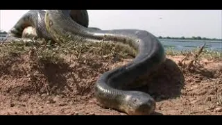 اقوى افلام الخيال العلمى وادي الوحوش مترجم 