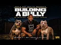 Building a Bully Why I Created a Fit Bully Ep 1