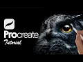 This is How I Paint Owl Portraits in Procreate BEGINNERS Tutorial