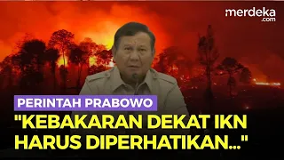 Perintah Prabowo Kebakaran Dekat IKN Harus Diperhatikan: Kerahkan Aset, Jangan Masuk Zona Inti