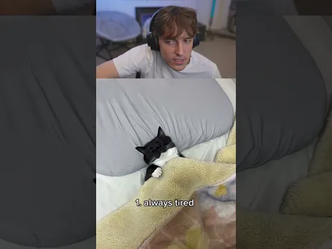6 signs your a cat