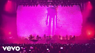Zoé - Vinyl (Visualizer/ En Vivo)