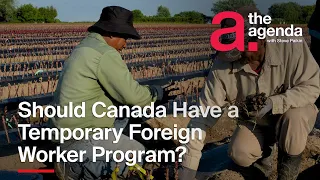 Should Canada Have a Temporary Foreign Worker Program? | The Agenda