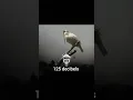 Download Lagu Loudest animal × funk oscuro (super slowed) #viralvideo #youtubeshorts