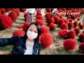 Download Lagu The Best Autumn Escaped//KOKIA in Japan