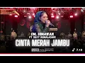 Download Lagu CINTA MERAH JAMBU (JADUL) - SILVY K ft OM HIMAWAN | PP GUS MIFTAH RAME POL HARLAH 13  | FYP TIKTOK