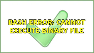 bash error cannot execute binary file