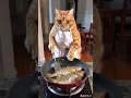 Download Lagu Duda araban.. #kucing #cat #shorts #ai #funny #kitten