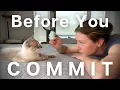 10 things you NEED to know before adopting a