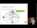 Nutrient Cycles - Grider s AP Summer Homework