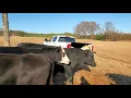 The Cattle Range listing 911C843-201