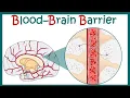 Blood Brain Barrier Blood Brain Barrier - Structure Function Blood CSF barrier