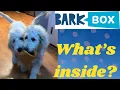 November 2021 BarkBox Unboxing