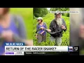 Wildlife Watch Rare snake found in southern Vermont