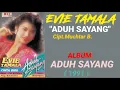 Download Lagu EVIE TAMALA _ ADUH SAYANG