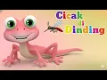 Lagu Cicak Cicak Di Dinding | Lagu Anak Anak | Lagu Anak Anak Indonesia