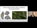 Dr Adam Steel on Convergence of scene perception and visuospatial memory in posterior cerebral
