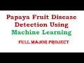 Papaya Fruit Disease Detection Using Machine Learning Papaya Fruit Disease Classification Python