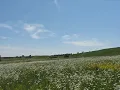 СКАЙ - Зникаю
