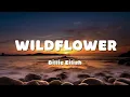 Billie Eilish - WILDFLOWER (Lyrics)