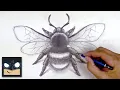 How To Draw a Bumble Bee Sketch Sunday Step by Step