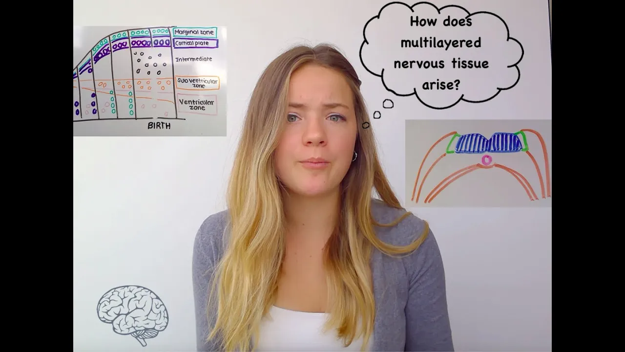 Neurogenesis