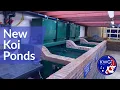 Download Lagu New Japanese Koi Pond construction