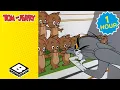 Download Lagu Tom Can't Find the Real Jerry | 1 HOUR Tom \u0026 Jerry Marathon | Boomerang UK
