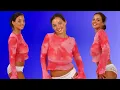 Christina Model - Pink Netted Long Sleeves Shirt